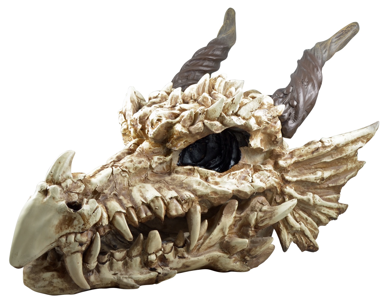 Spardose Drachenschädel Drachentotenkopf Drache Fantasy Skull Drachen Totenkopf 